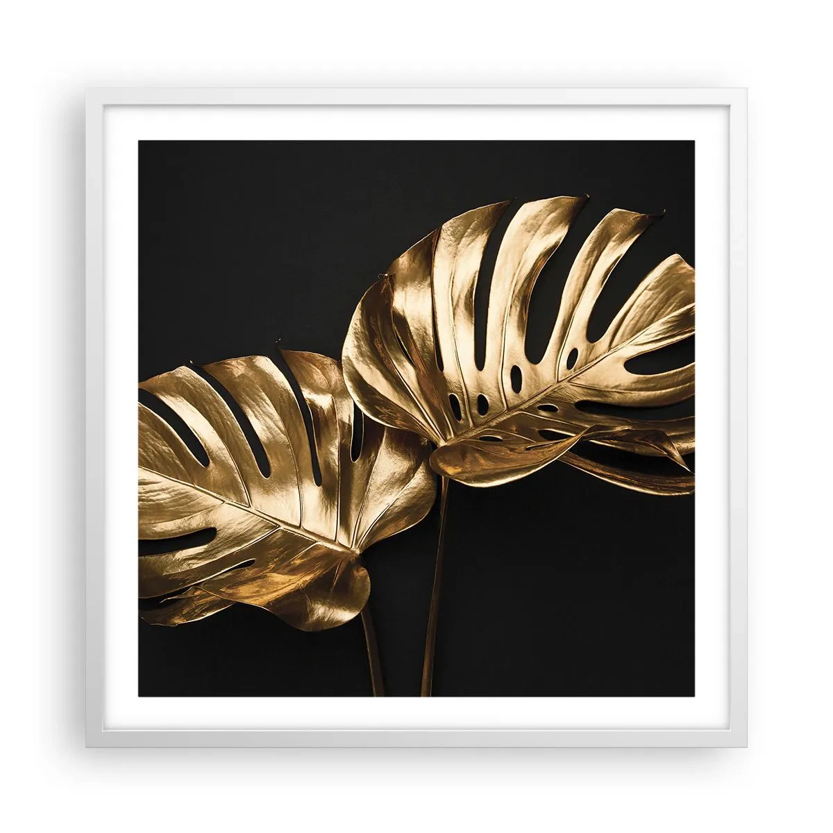 Poster in cornice bianca - I tesori della natura - 60x60 cm