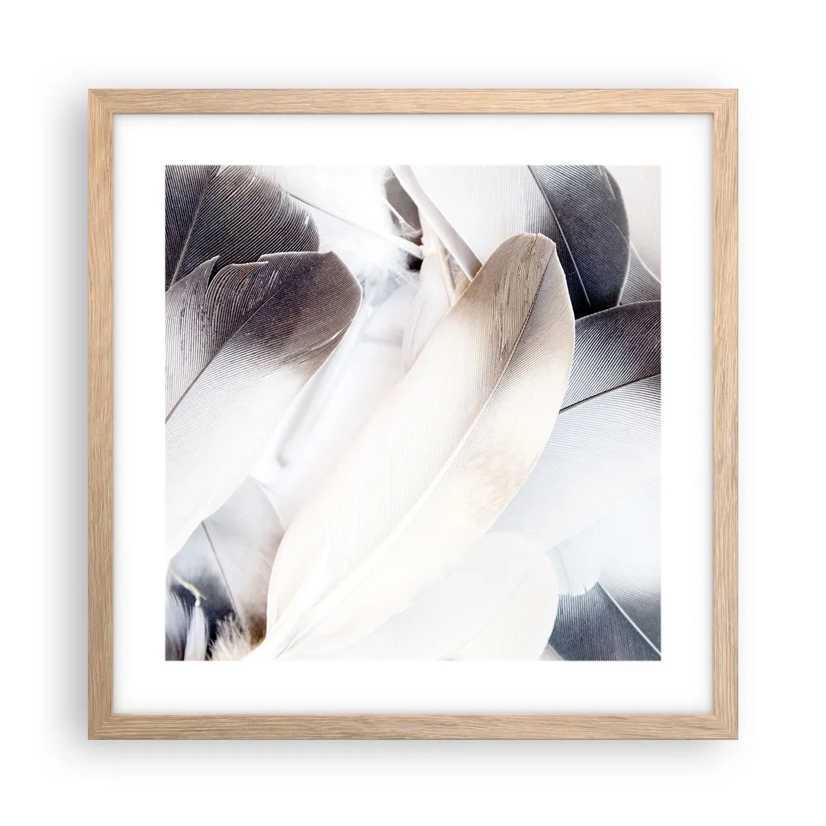 Poster in cornice rovere chiaro - Quasi angeliche - 40x40 cm