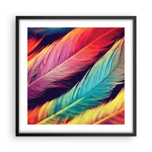 Poster in cornice nera - Arcobaleno piumato - 50x50 cm