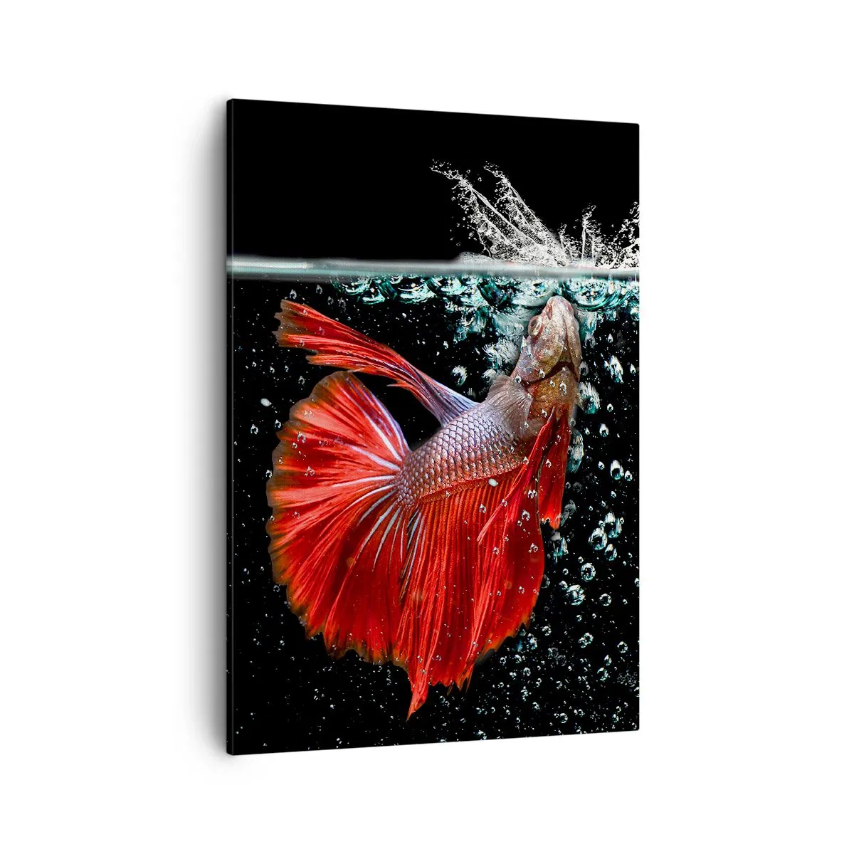Quadro su tela - Stampe su Tela - Un magnifico betta nell'acqua su uno sfondo scuro - 50x70cm - Hai tre desideri - Decorazione murale moderna per soggiorno e camera da letto ARTTOR