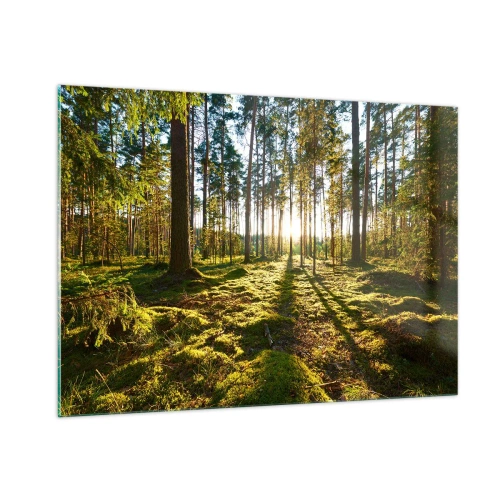 Quadro su vetro - Raggi di sole che penetrano attraverso gli alberi nella foresta - 100x70cm - …dopo sette foreste - Decorazione murale moderna per soggiorno e camera da letto ARTTOR