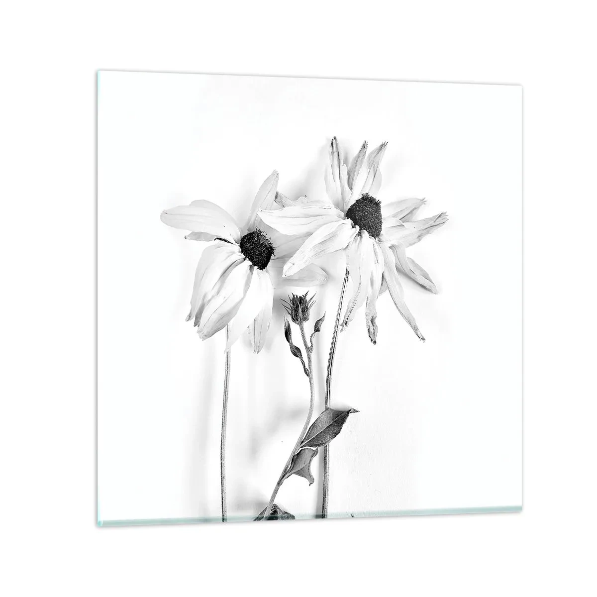 Quadro su vetro - Nessuno vuole essere solo - 70x70 cm