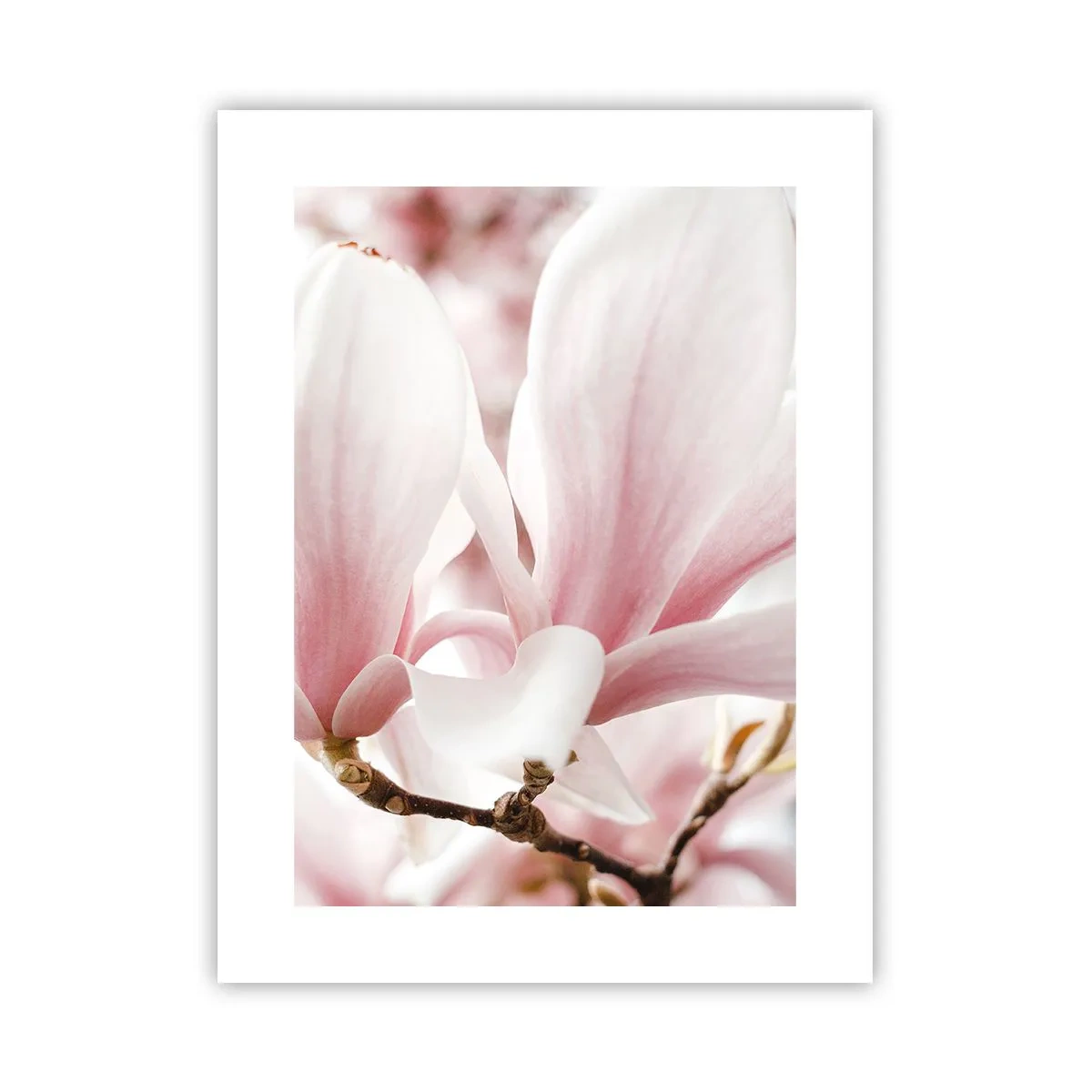 Poster - Tenerezza senza fine - 30x40 cm