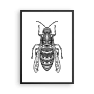 Poster in cornice nera - Illustrazione dettagliata di una vespa - 50x70cm - Dal pianeta degli insetti - Decorazione murale moderna per soggiorno e camera da letto ARTTOR
