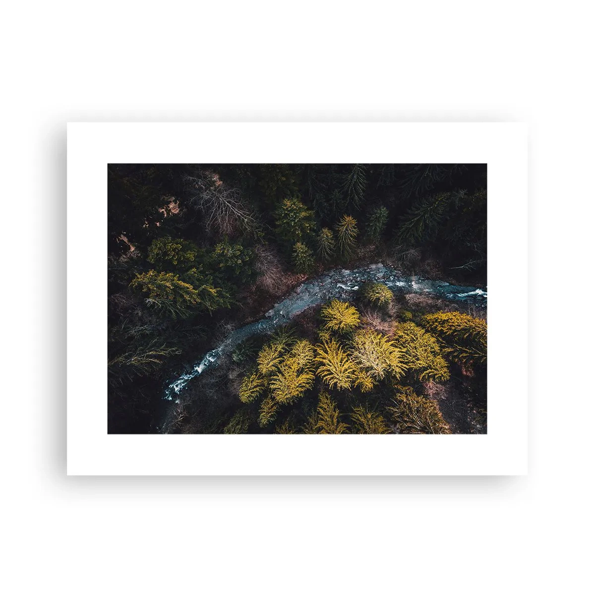 Poster - Sempre più veloce - 40x30 cm