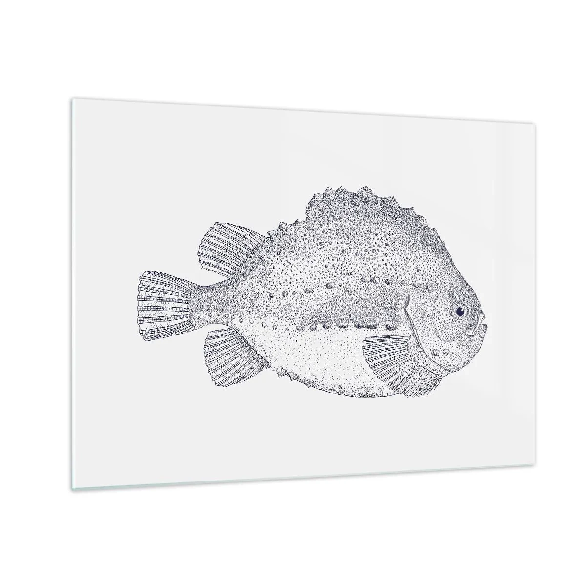 Quadro su vetro - Incisione dettagliata di un pesce su sfondo bianco in stile naturalistico - 70x50cm - Nell'album del naturalista - Decorazione murale moderna per soggiorno e camera da letto ARTTOR