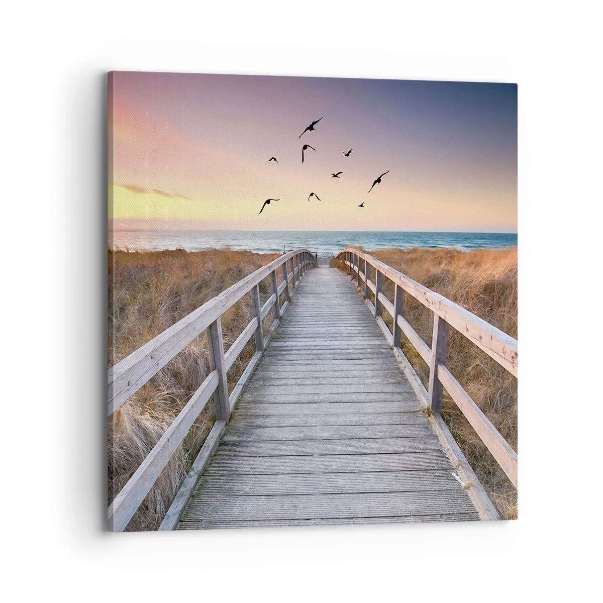 Quadro su tela - Stampe su Tela - Spazio per volare - 70x70 cm