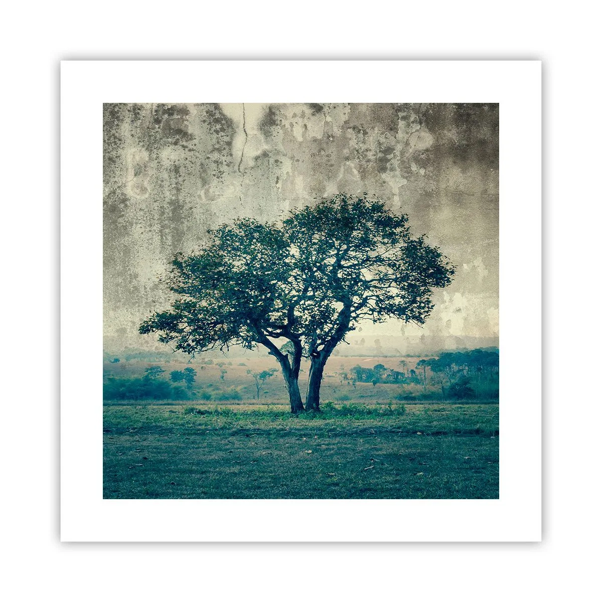 Poster - Un melo su un prato blu? - 40x40 cm