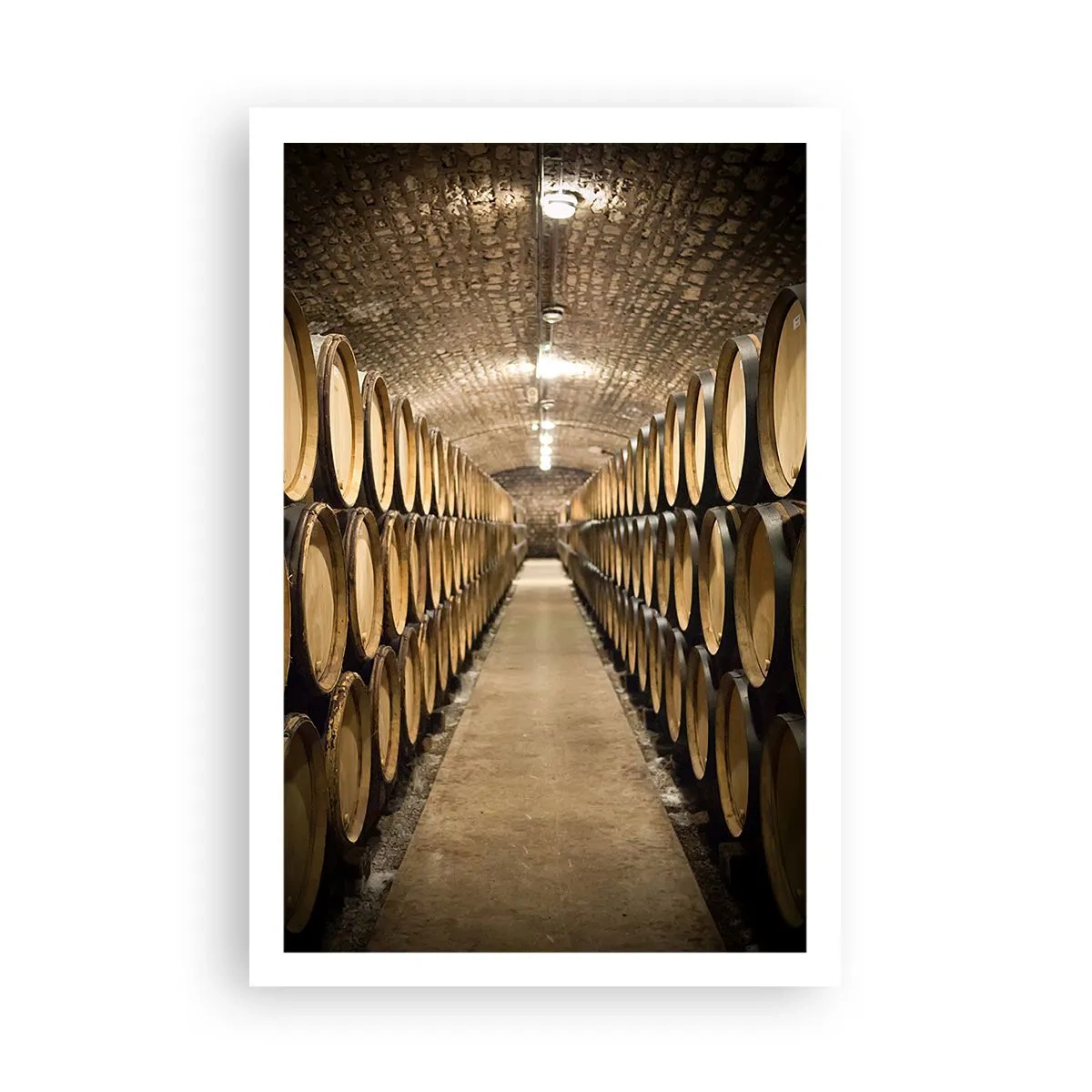 Poster - Nella cantina in mattoni - 61x91 cm