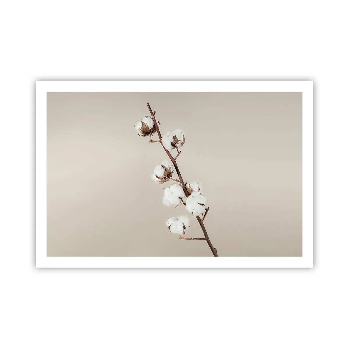 Poster - Alla fonte della morbidezza - 91x61 cm