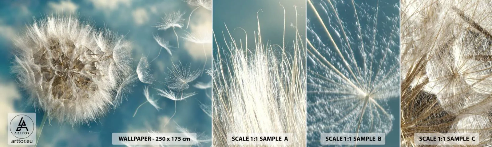 Campione Di Fotomurale Standard Eco - Il respiro dell'angelo - Natura, estate indiana, Pezzo - 100x30 cm