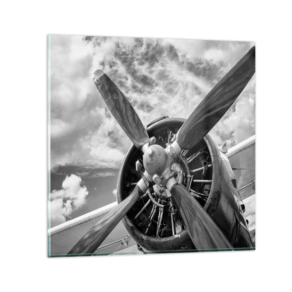 Quadro su vetro - Il dominatore dell'aria - 60x60 cm