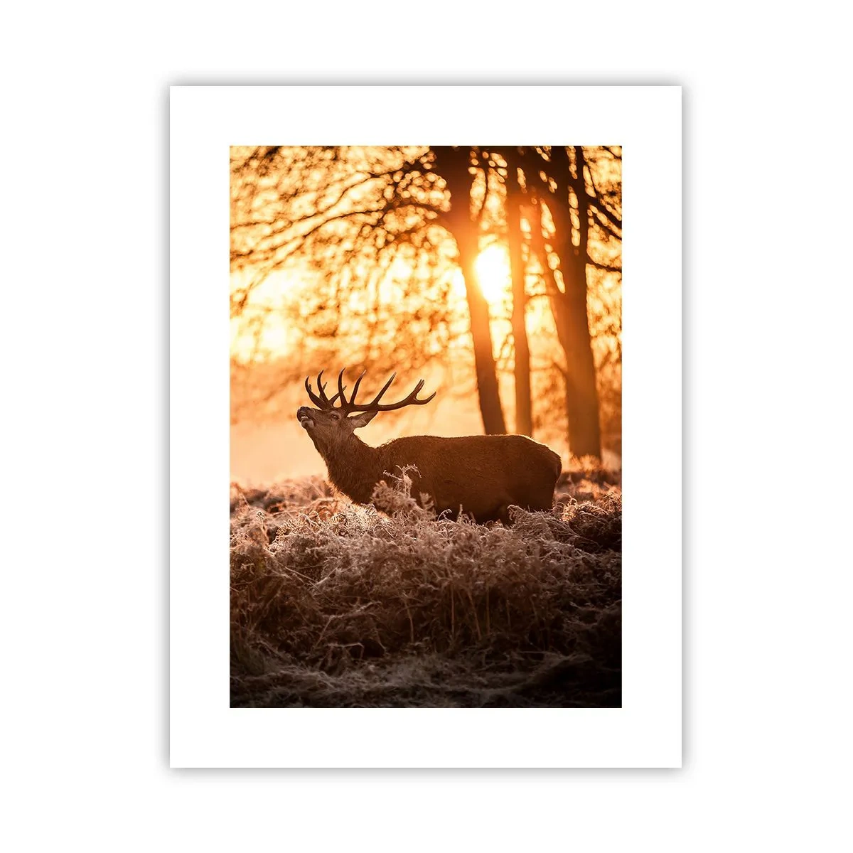 Poster - Il sogno del cacciatore - 30x40 cm