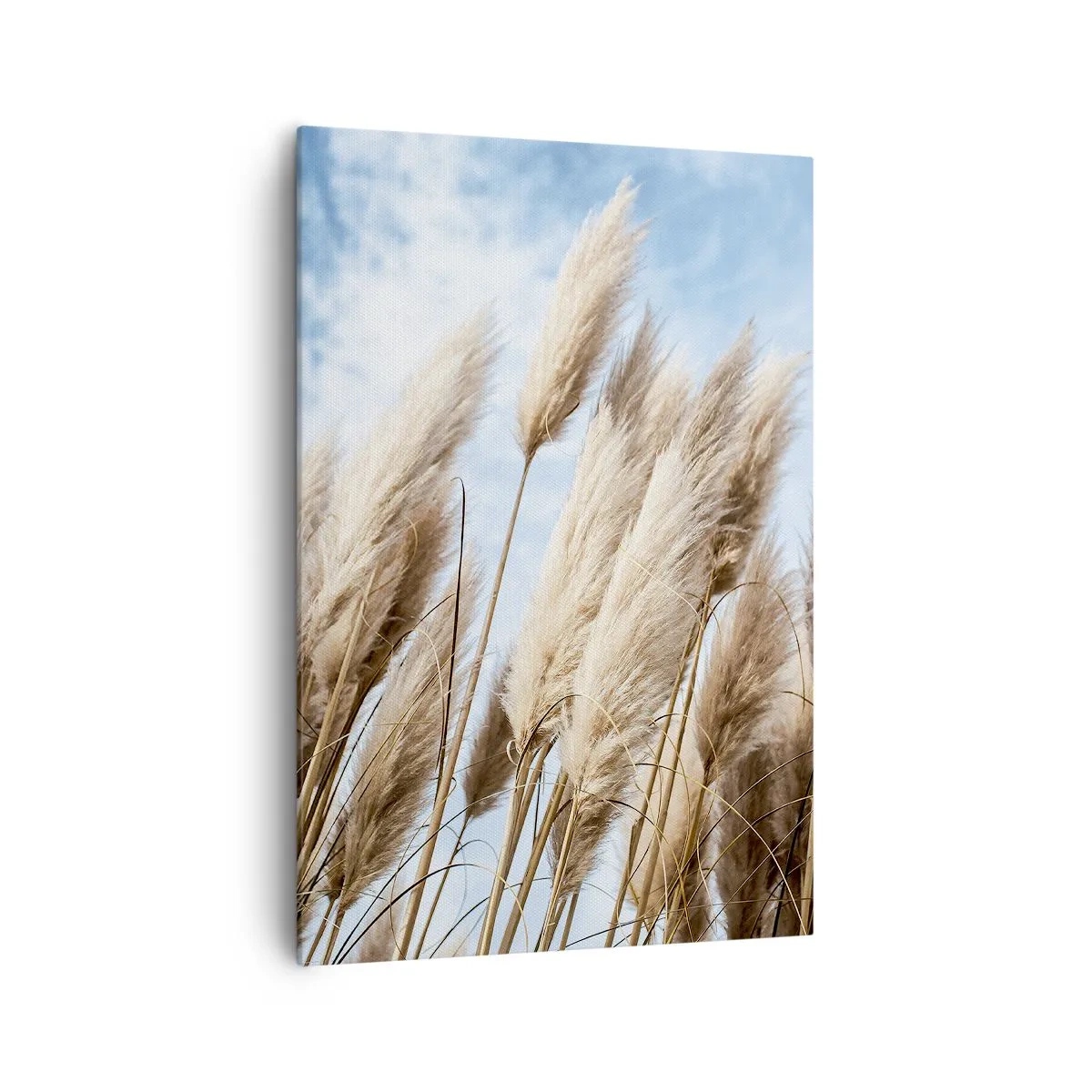 Quadro su tela - Stampe su Tela - Delicati prati di pampa contro un cielo azzurro con nuvole leggere - 70x100cm - Le carezze del sole e del vento - Decorazione murale moderna per soggiorno e camera da letto ARTTOR