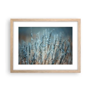 Poster in cornice rovere chiaro - Campo profumato - 40x30 cm