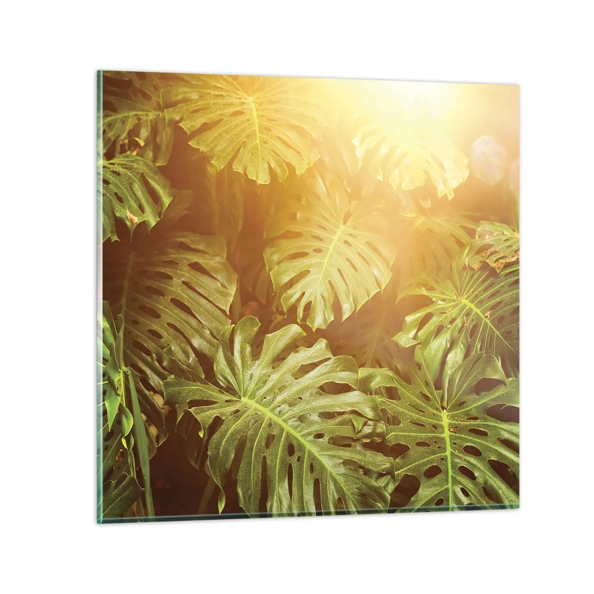 Quadro su vetro - Entrando nel verde... - 30x30 cm