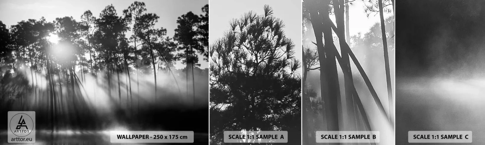 Campione Di Fotomurale Standard Eco - Sole irrefrenabile - Paesaggio, foresta, Natura - 100x30 cm