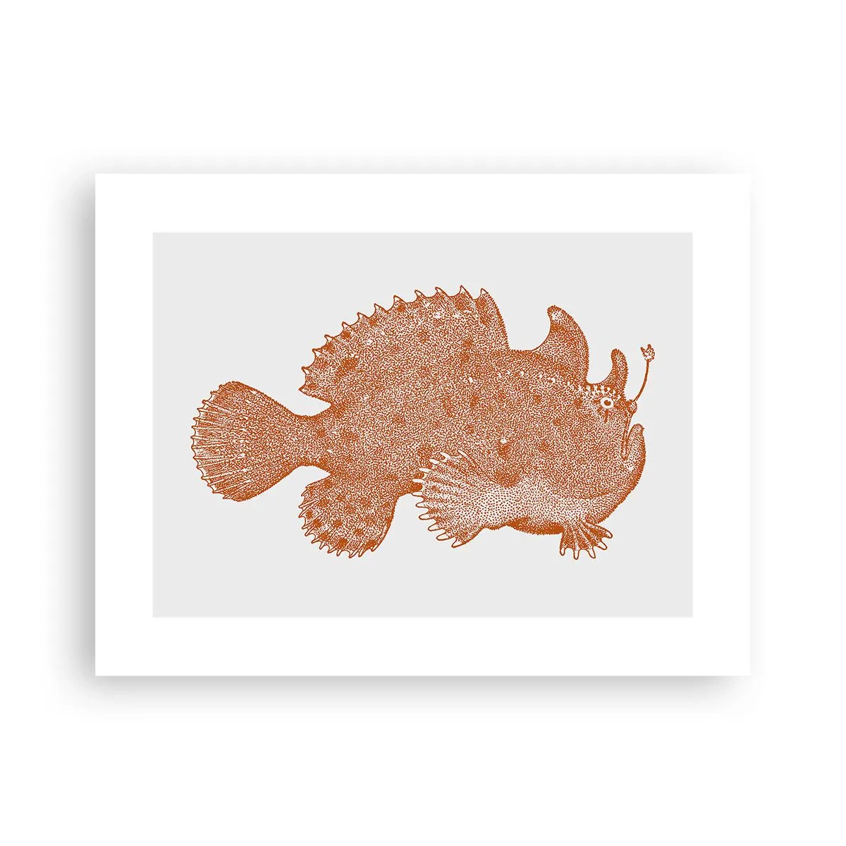 Poster - È davvero un pesce - 40x30 cm