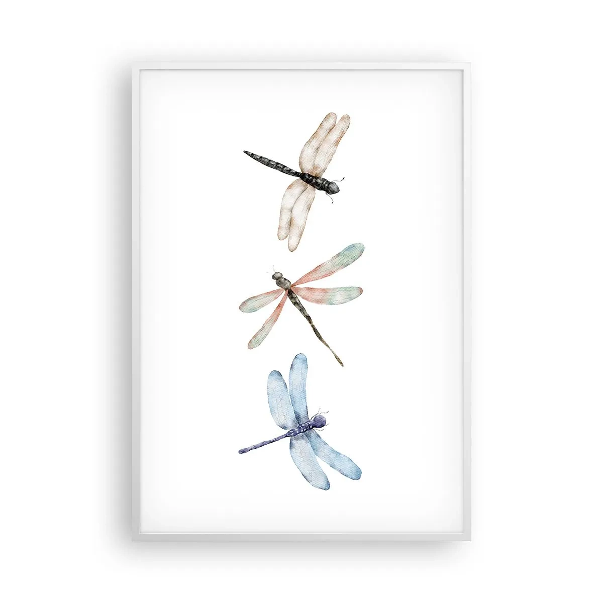 Poster in cornice bianca - Libellule senza peso - 70x100 cm