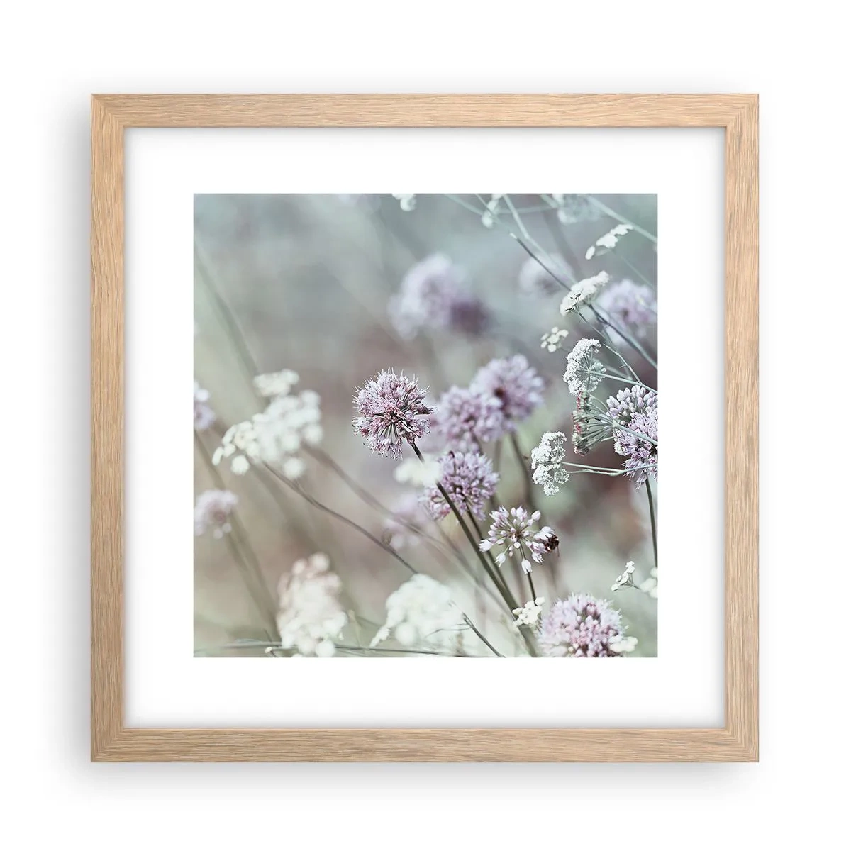 Poster in cornice rovere chiaro - Le dolci filigrane delle erbe - 30x30 cm