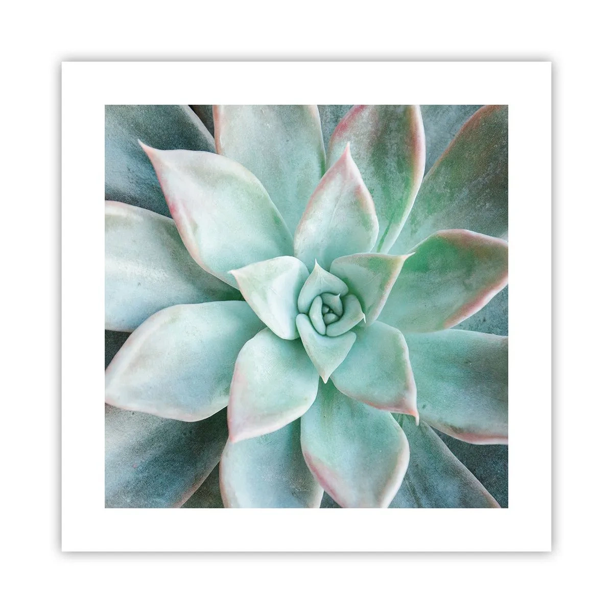 Poster - Il cuore del deserto - 40x40 cm