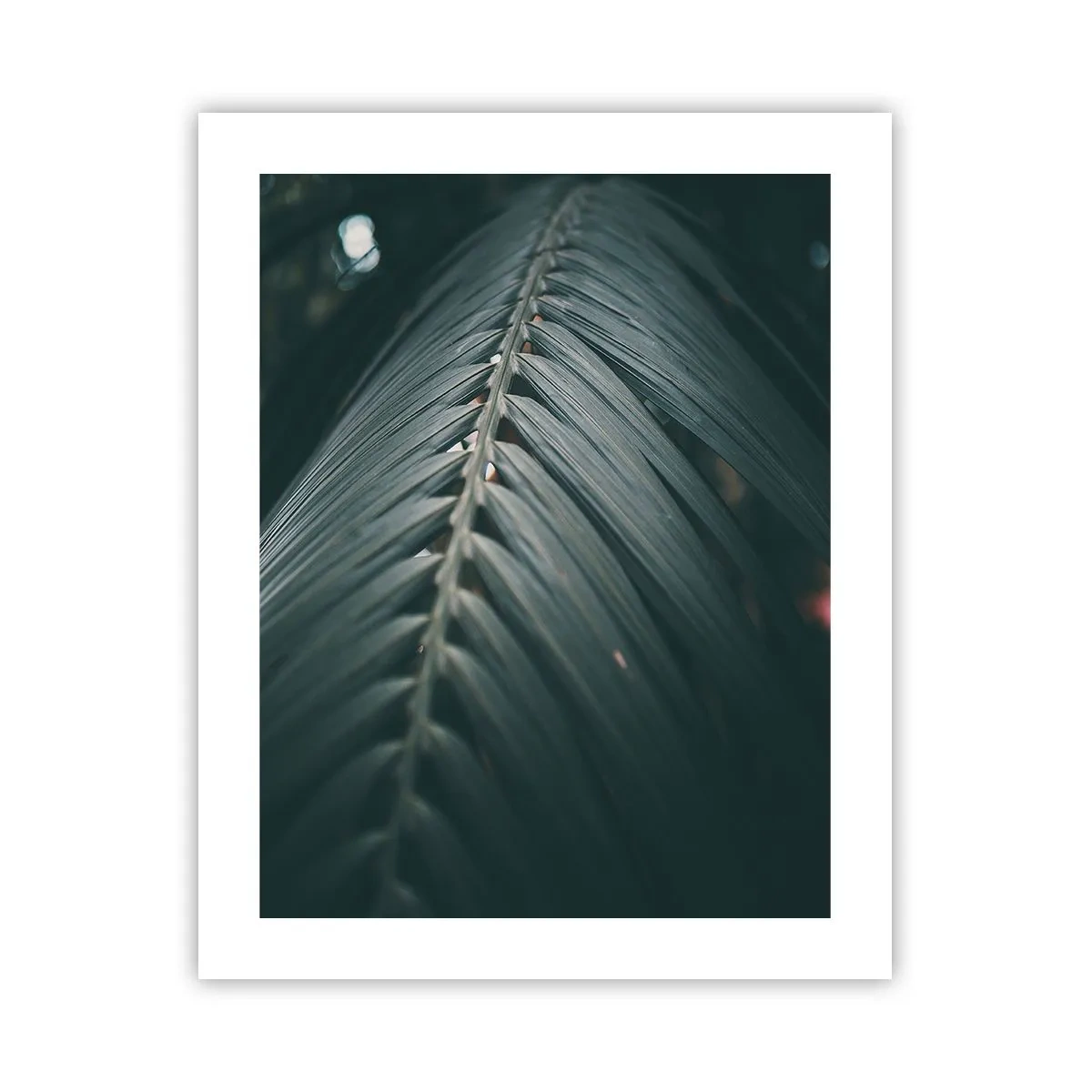 Poster - La precisione della natura - 40x50 cm