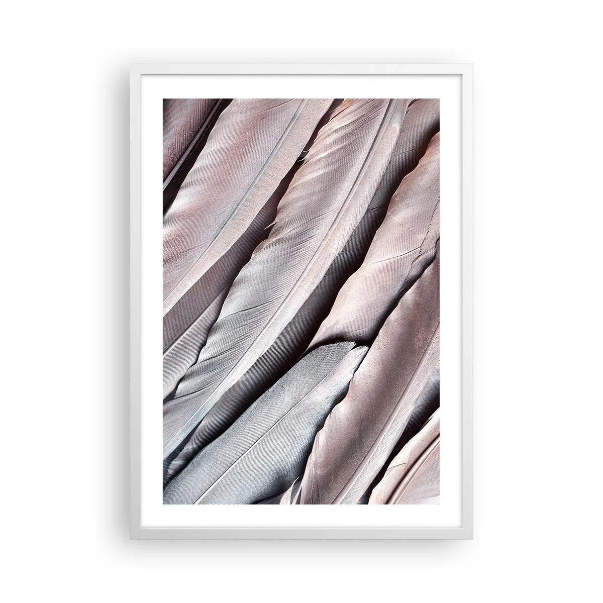 Poster in cornice bianca - Argento rosato - 50x70 cm