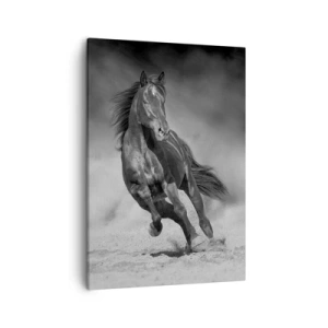 Quadro su tela - Stampe su Tela - Un cavallo bianco e nero che galoppa sulla sabbia - 50x70cm - Degno dell'emiro - Decorazione murale moderna per soggiorno e camera da letto ARTTOR