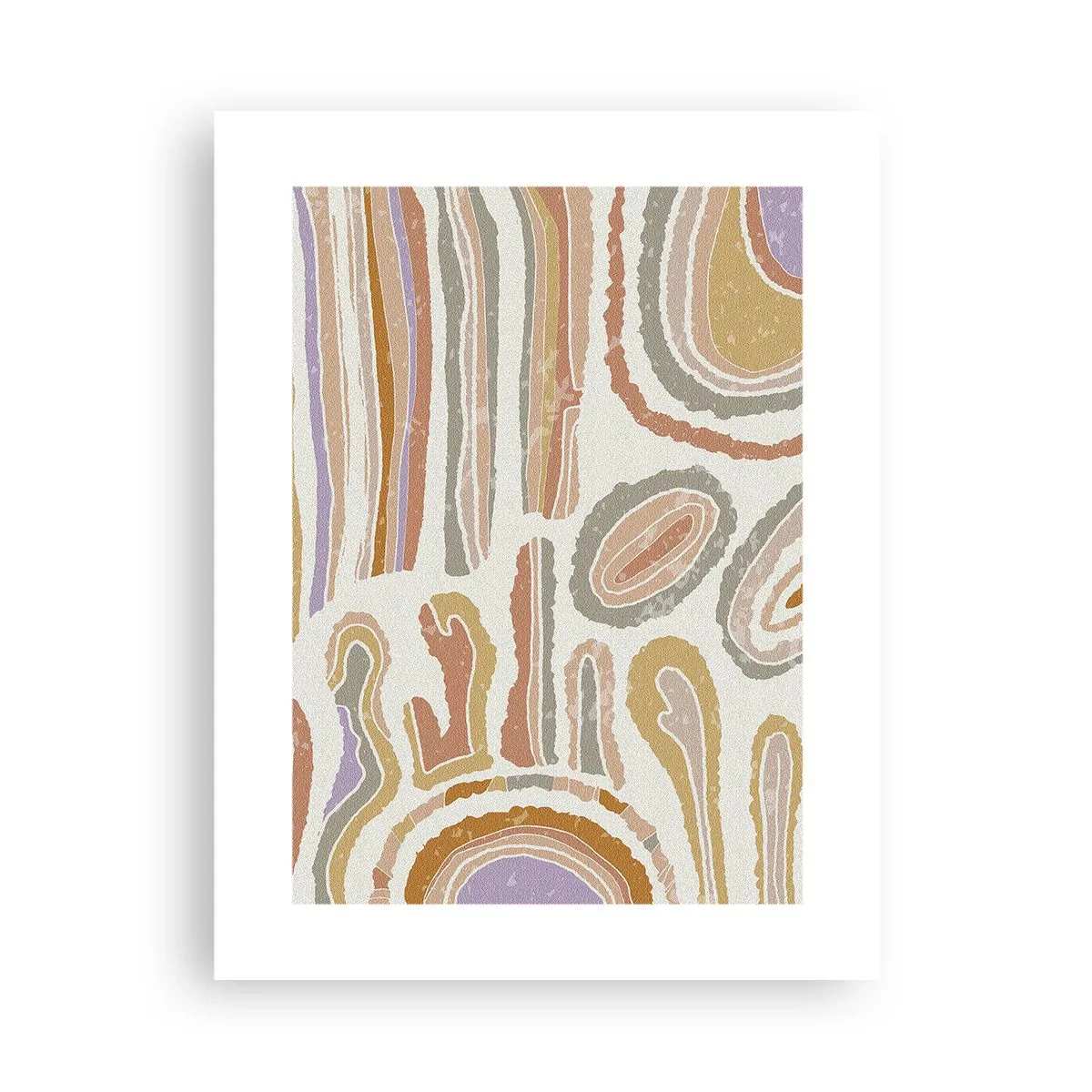 Poster - Sezioni colorate - 30x40 cm
