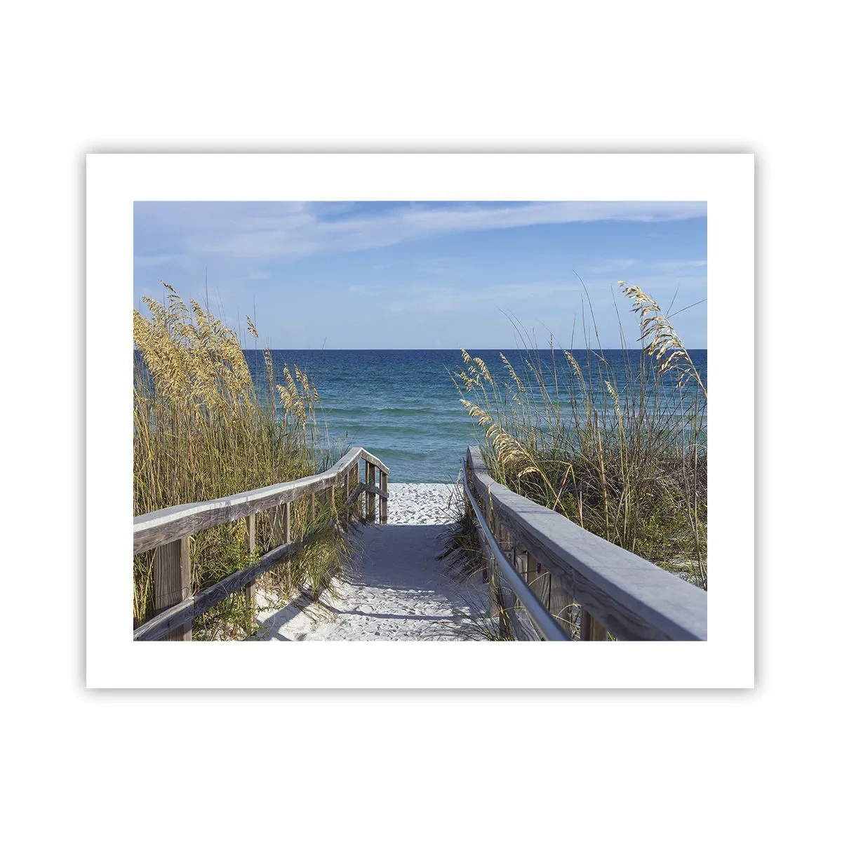 Poster - Al sole, al vento - 50x40 cm