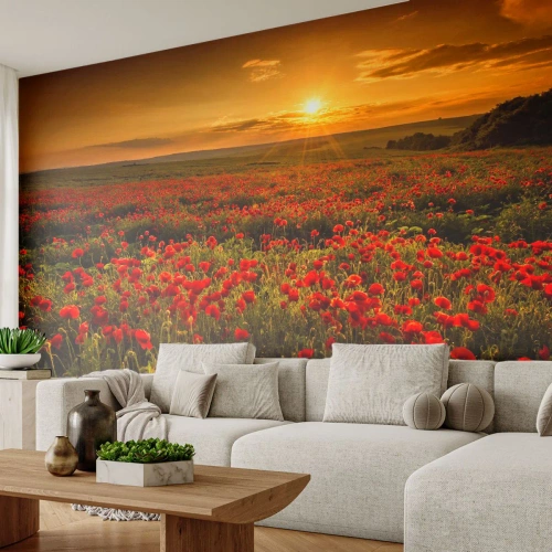 Fotomurali Premium Canvas - Tra il fruscio delle erbe, in un'esplosione di fiori - Paesaggio, Fiori, Papaveri - 350x256 cm