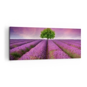 Quadro su tela - Stampe su Tela - Sui campi di lavanda - 120x50 cm
