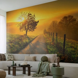 Fotomurali Premium Sand - Una strada tra i campi al tramonto - 100x70cm - Pomeriggio di miele - Decorazione murale moderna per soggiorno e camera da letto ARTTOR