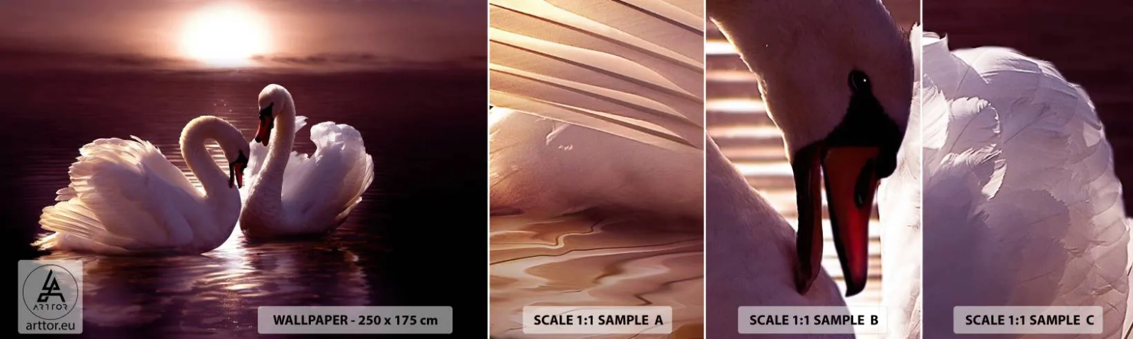 Campione Di Fotomurale Standard Eco - Finché la morte non ci separi - Animali, Paesaggio, Cigni - 100x30 cm