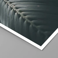 Senza cornice
