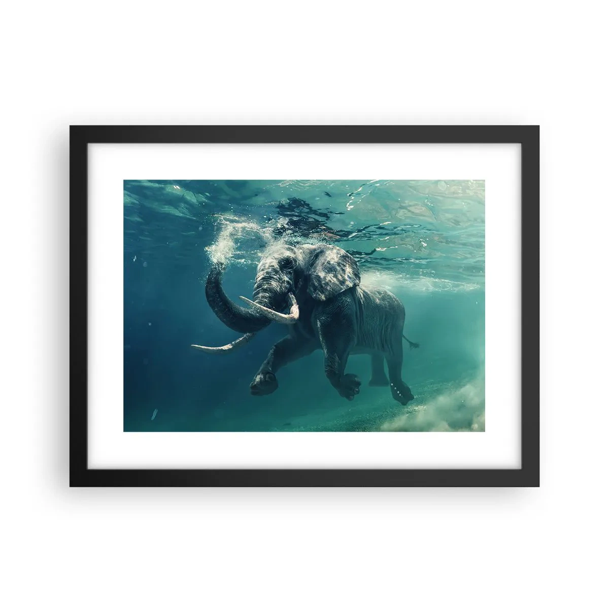 Poster in cornice nera - Tutti amano nuotare - 40x30 cm