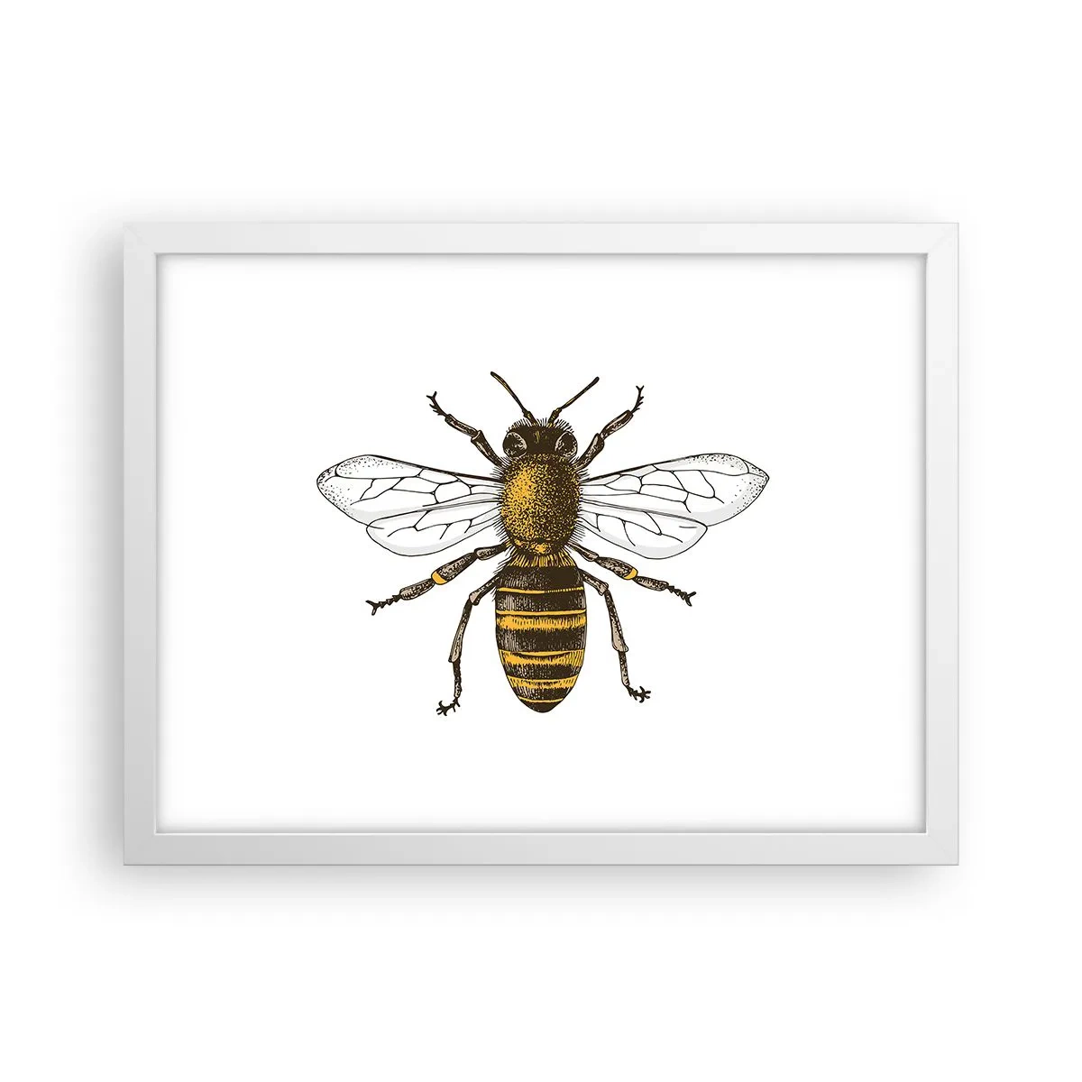 Poster in cornice bianca - Bella e buona - 40x30 cm