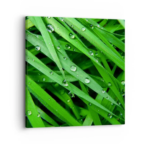 Quadro su tela - Stampe su Tela - Giocando con il verde - 30x30 cm
