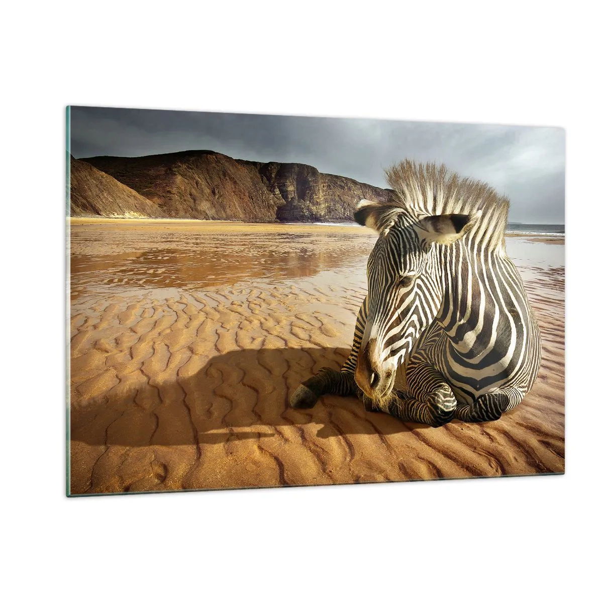 Quadro su vetro - Una zebra che riposa sulla spiaggia al tramonto - 120x80cm - Fatti l'uno per l'altra - Decorazione murale moderna per soggiorno e camera da letto ARTTOR