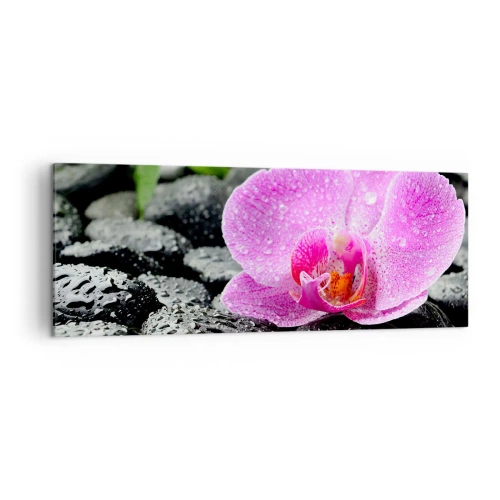 Quadro su tela - Stampe su Tela - Orchidea rosa su pietre nere bagnate con foglie verdi - 140x50cm - Come un cuore aperto - Decorazione murale moderna per soggiorno e camera da letto ARTTOR