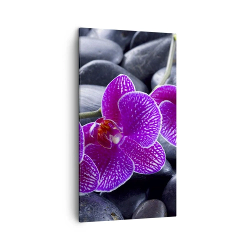 Quadro su tela - Stampe su Tela - Le pietre brillano di ammirazione - 45x80 cm