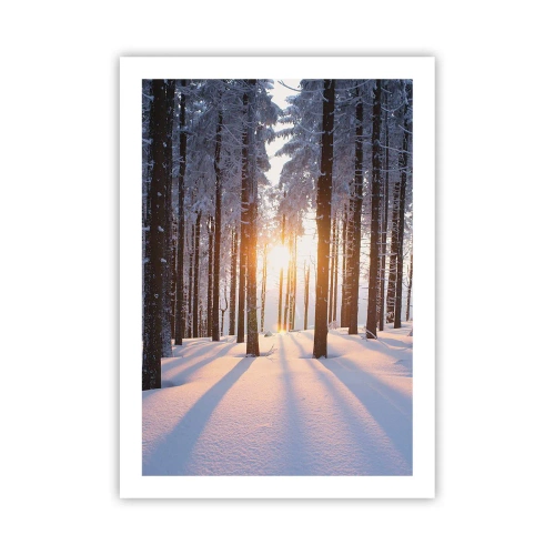 Poster - Foresta invernale con raggi di sole che brillano attraverso gli alberi - 50x70cm - Decisamente nero su bianco - Decorazione murale moderna per soggiorno e camera da letto ARTTOR