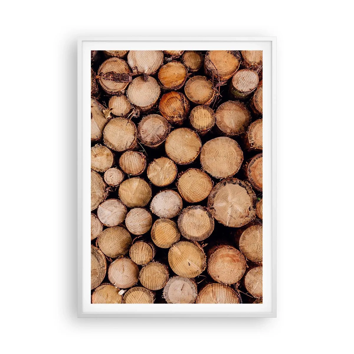 Poster in cornice bianca - Nuovo inizio - 70x100 cm