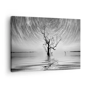 Quadro su tela - Stampe su Tela - Un albero nell'acqua sotto un cielo notturno con stelle in movimento - 70x50cm - Sinfonia della natura - Decorazione murale moderna per soggiorno e camera da letto ARTTOR