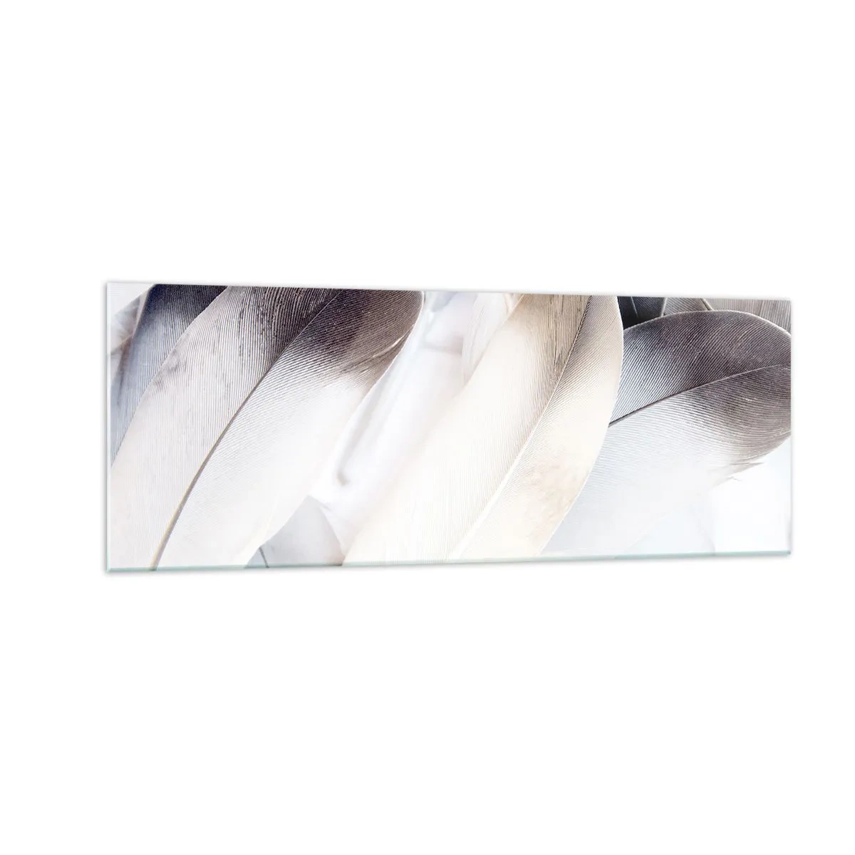Quadro su vetro - Primo piano di piume delicate nelle tonalità del bianco e del grigio - 140x50cm - Quasi angeliche - Decorazione murale moderna per soggiorno e camera da letto ARTTOR