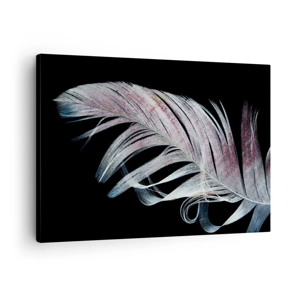 Quadro su tela - Stampe su Tela - Una piuma delicata su uno sfondo nero in un approccio artistico - 70x50cm - Pensa al tocco - Decorazione murale moderna per soggiorno e camera da letto ARTTOR
