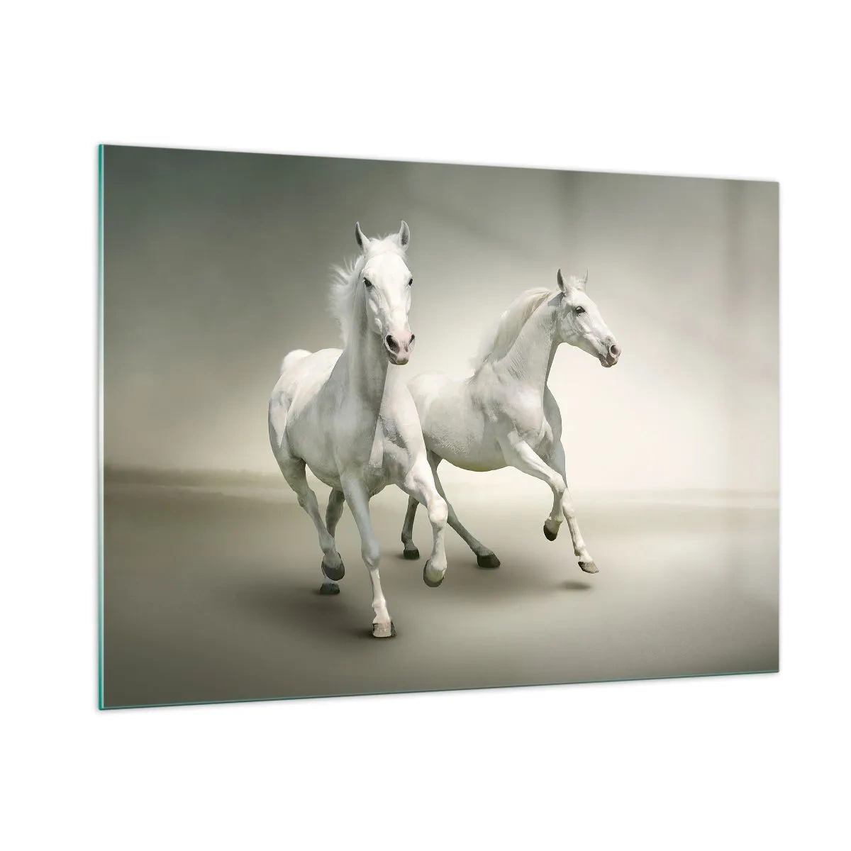 Quadro su vetro - Due cavalli bianchi che corrono su uno sfondo chiaro - 100x70cm - White power! - Decorazione murale moderna per soggiorno e camera da letto ARTTOR