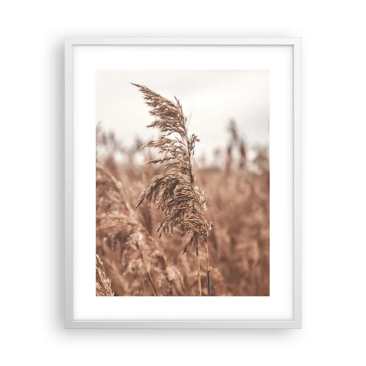 Poster in cornice bianca - Nei campi è già autunno - 40x50 cm