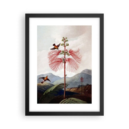 Poster in cornice nera - Nel paradiso tropicale - 30x40 cm