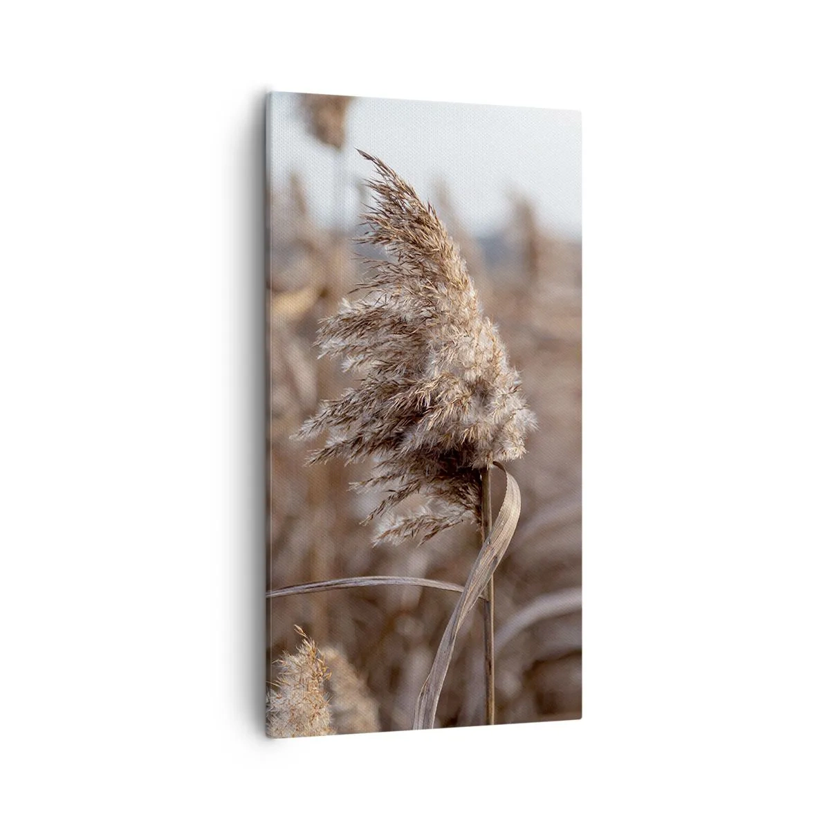 Quadro su tela - Stampe su Tela - è tempo di volare col vento - 55x100 cm